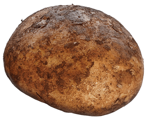 Starch Apple Elite Spud Protein PNG