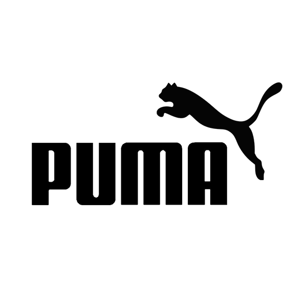 Adidas Gyrfalcon Sneakers Sparrowhawk Logo PNG
