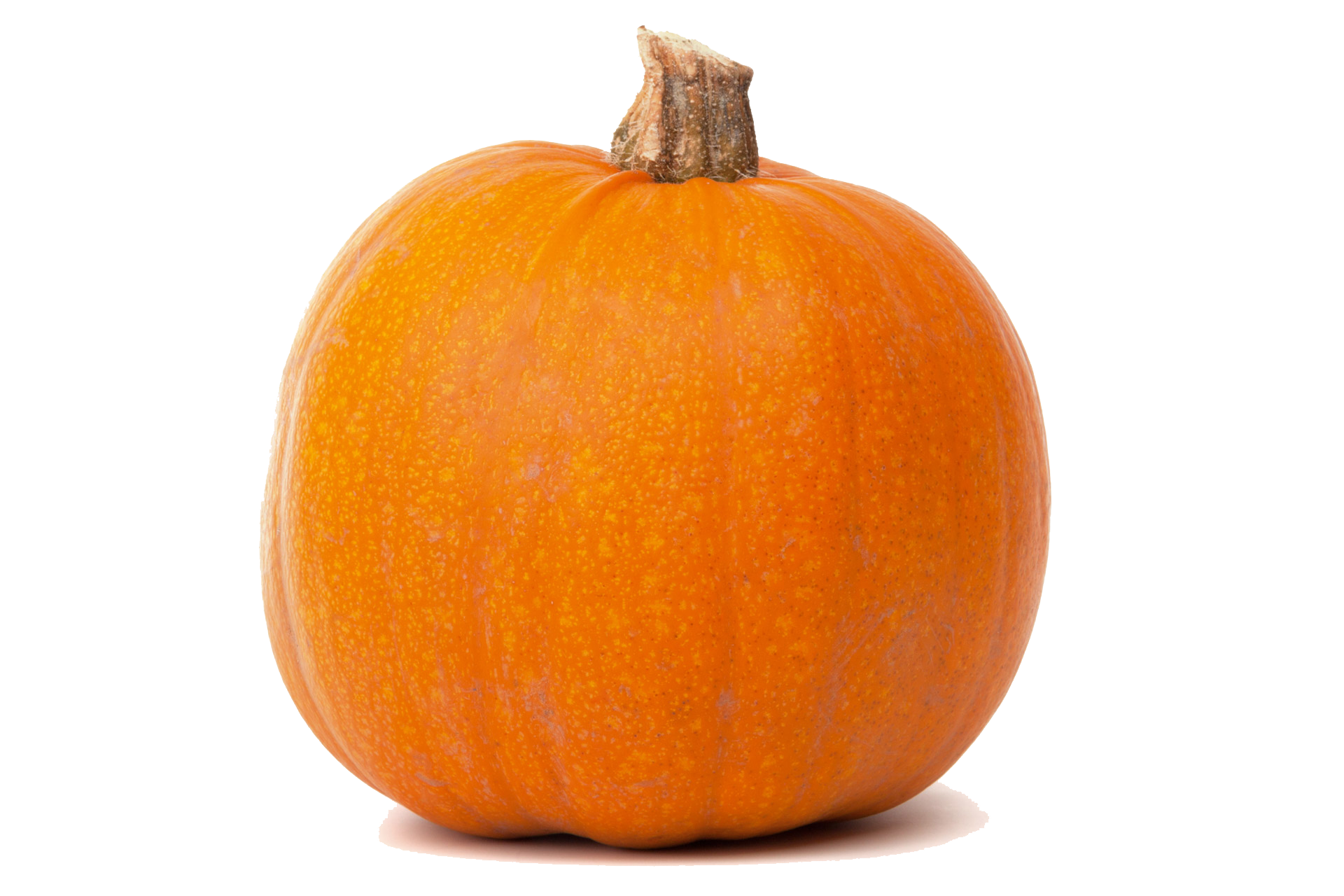 Colorful Pumpkin Today Melon Sweetheart PNG