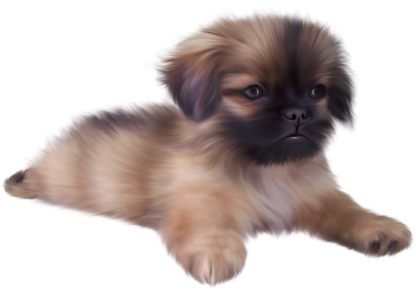 File Doggy Pup Pug Puppy PNG