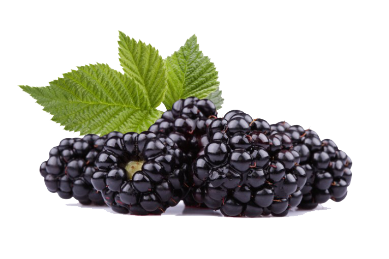 Black Berries Peach Onions Strawberry PNG