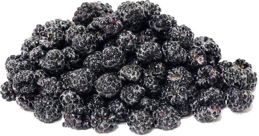 Blackberry Raspberries Red Black Blackberries PNG