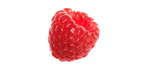 Raspberry Orange Snort Fit Butterscotch PNG