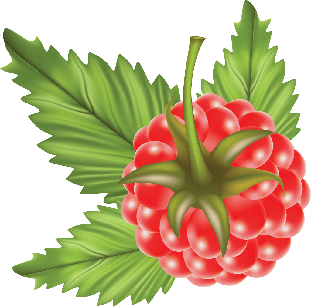 Tangerine Berry Rhubarb Perfect Rraspberry PNG