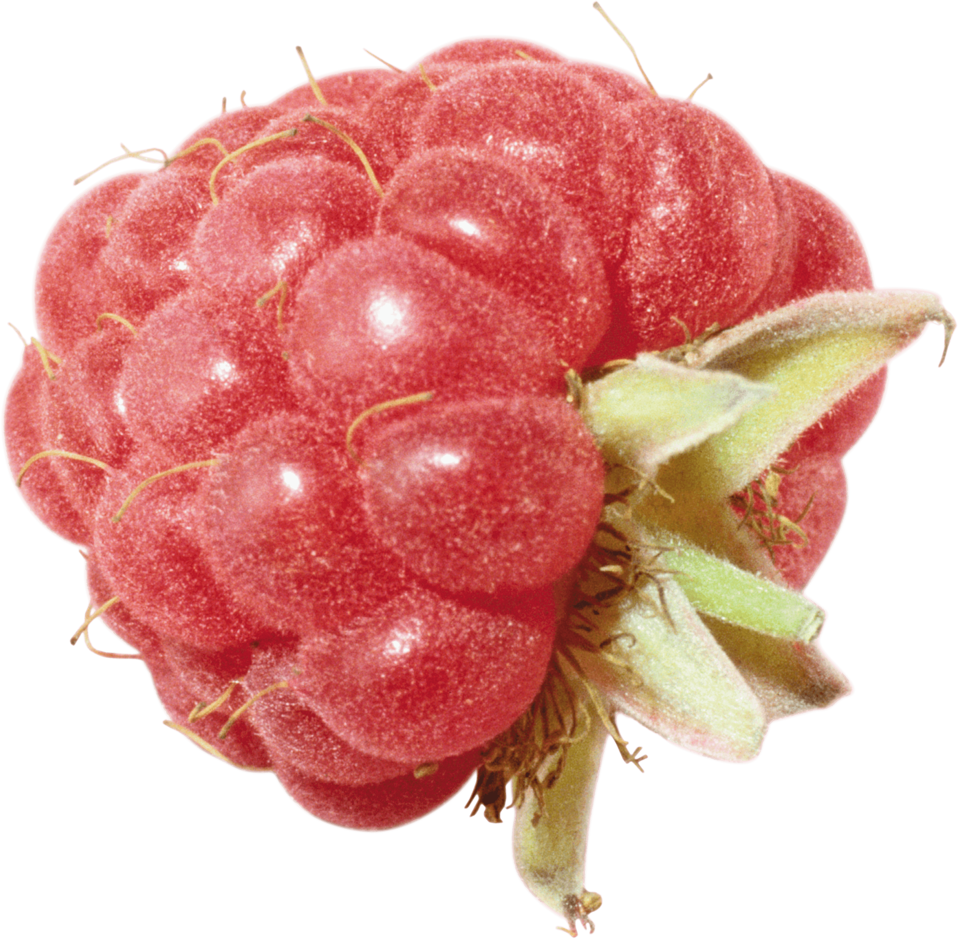 Sorbet Boysenberry Smoothie Health Amaretto PNG