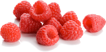 Red Blackcurrant Yummy Smile Rhubarb PNG