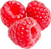 Boysenberry Tangerine Rraspberry Sorbet Hiss PNG