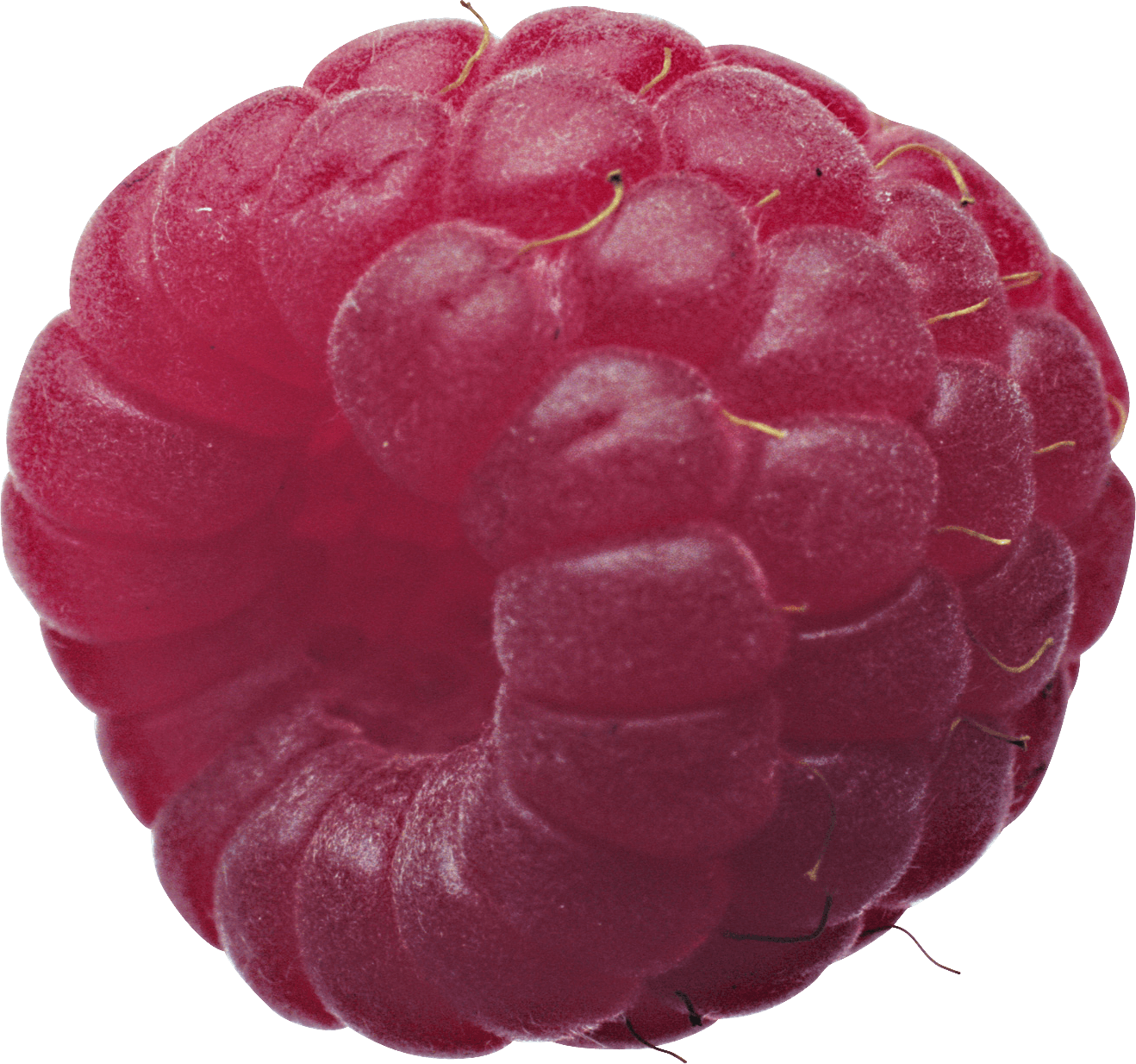 Boo Berry Rraspberry Butterscotch Razzing PNG