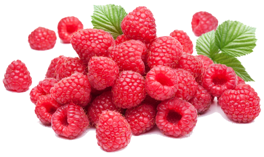 Raspberry Bird Butterscotch Strawberry Pineapple PNG