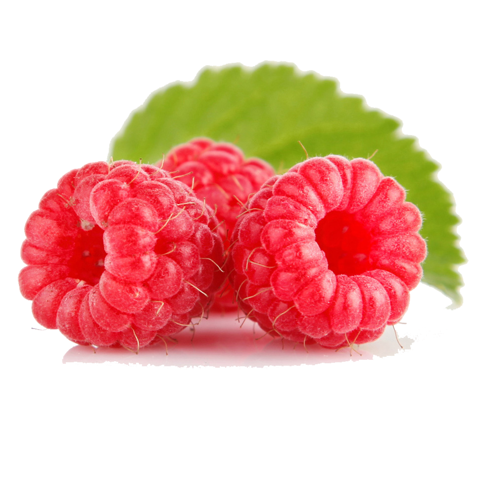 Girly Sorbet Salad Raspberry Hoot PNG