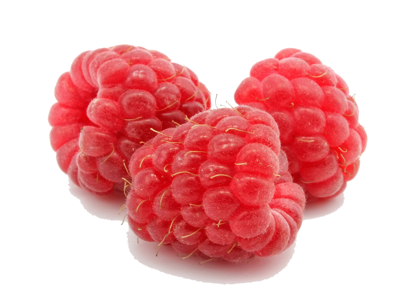 Raspberry Healthy Butterscotch Boo Live PNG