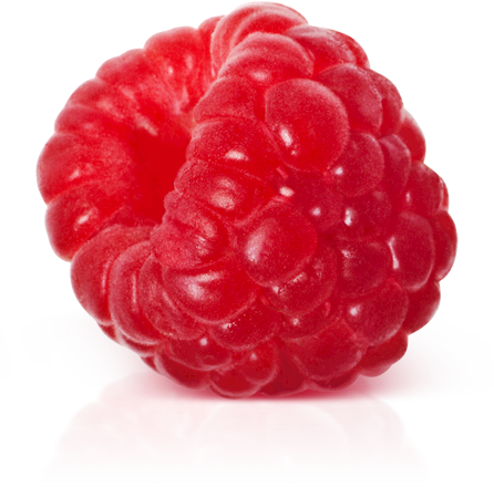 Boysenberry Paradise Boo Raspberry Razzing PNG