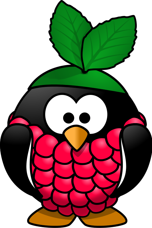 Raspberry Blackberry Berries Blueberry Bird PNG