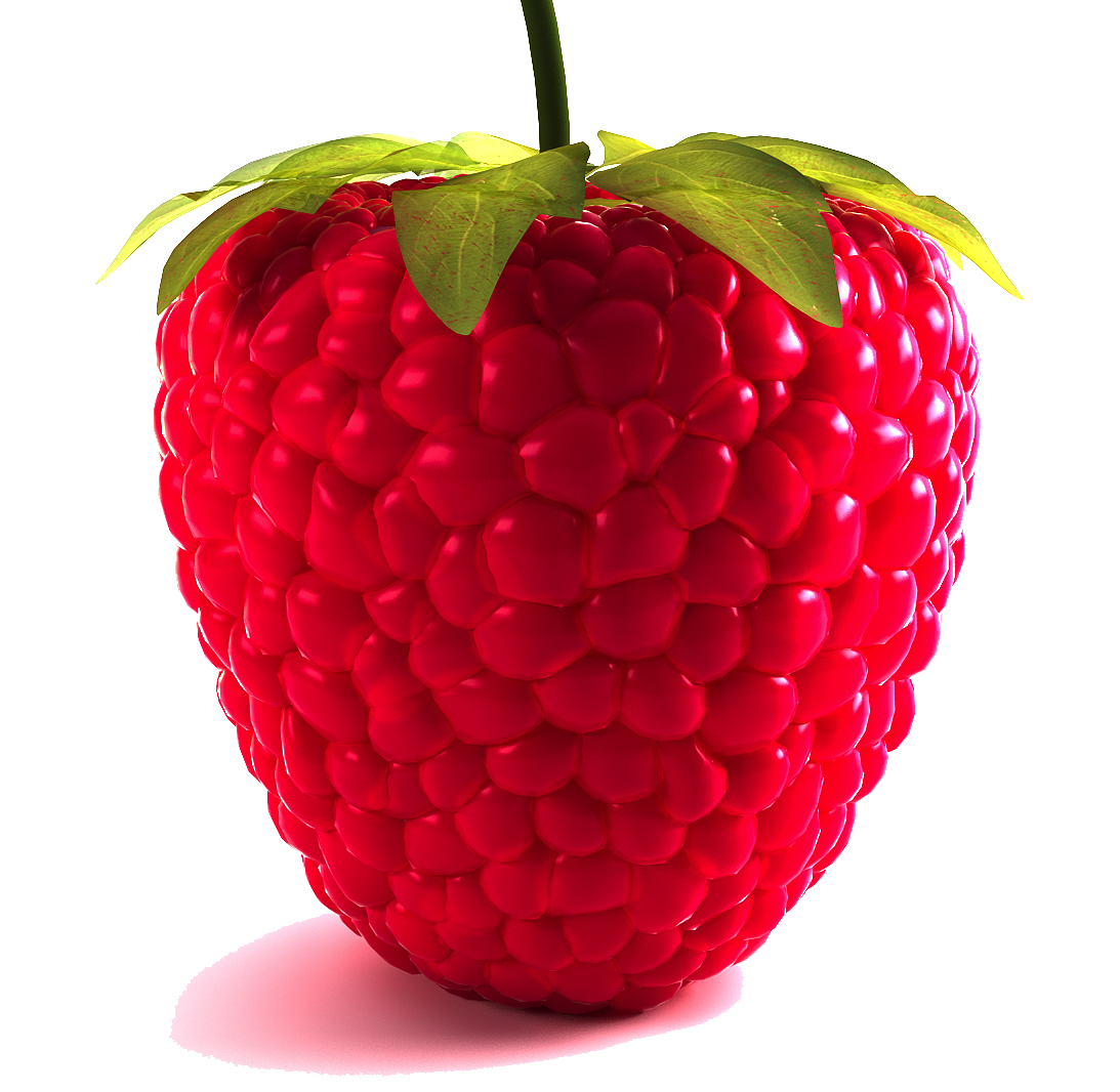 Boysenberry Canon Strawberry Bird Snack PNG