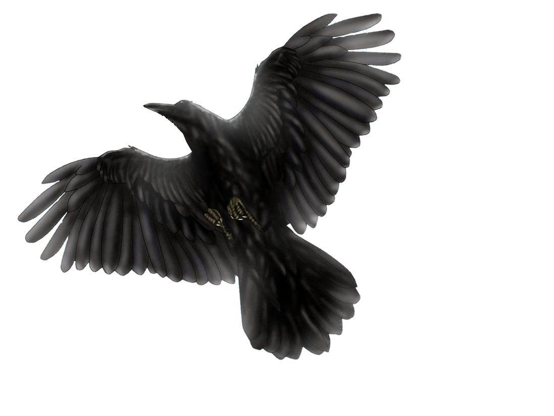 Hart Bird Blackbird Eagle Gulp PNG