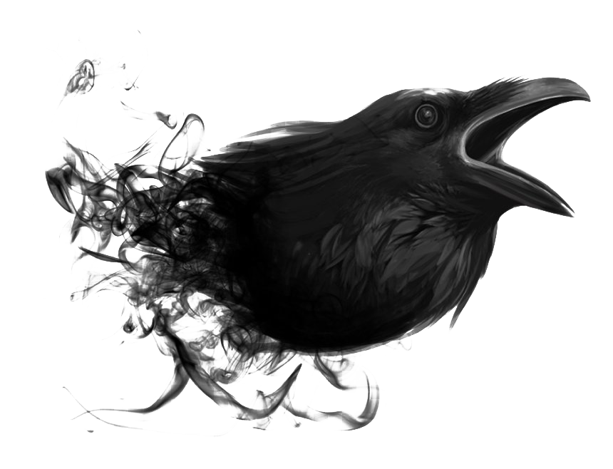 Crow Eagle Junco Titmouse Chickadee PNG