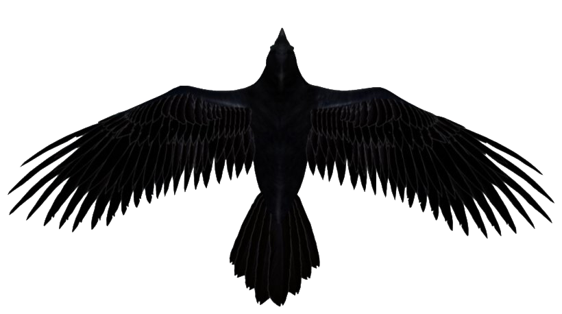 Cape Devour Level Raven Robin PNG