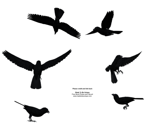 Devour Jackdaw File Bird Planet PNG