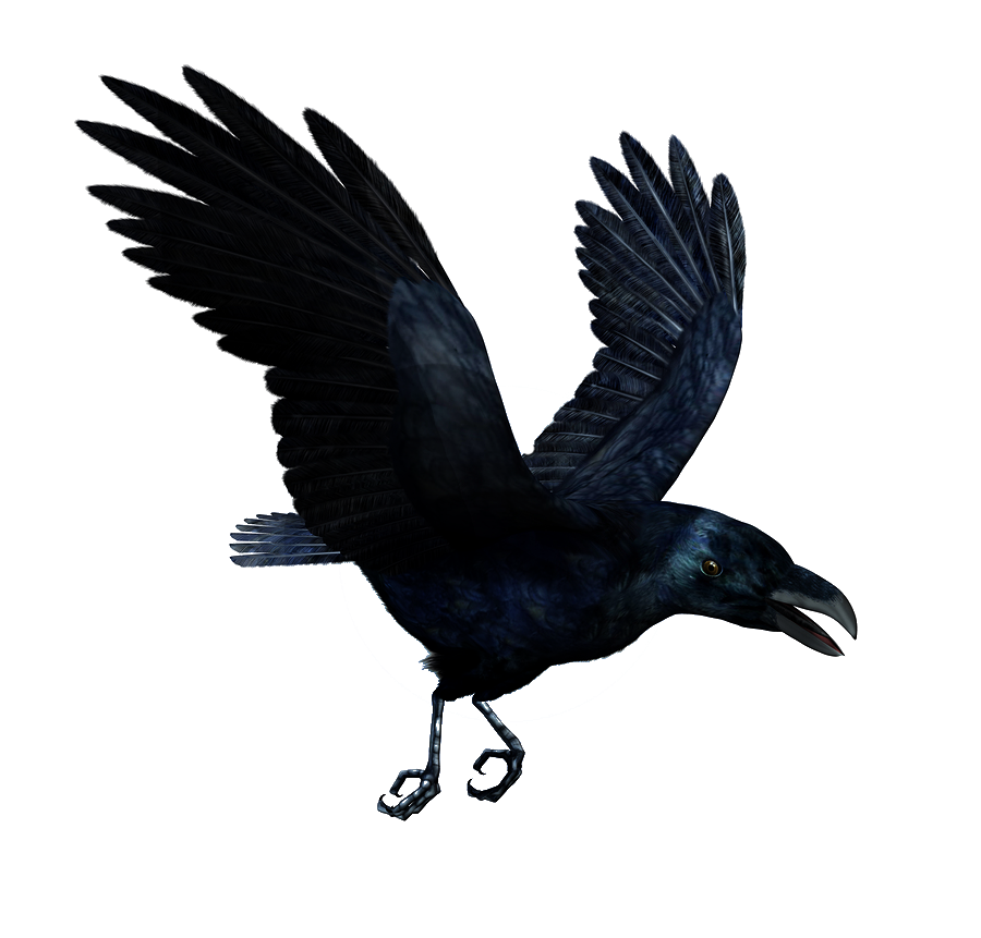 Gulp Crow Pet Raven Dogs PNG