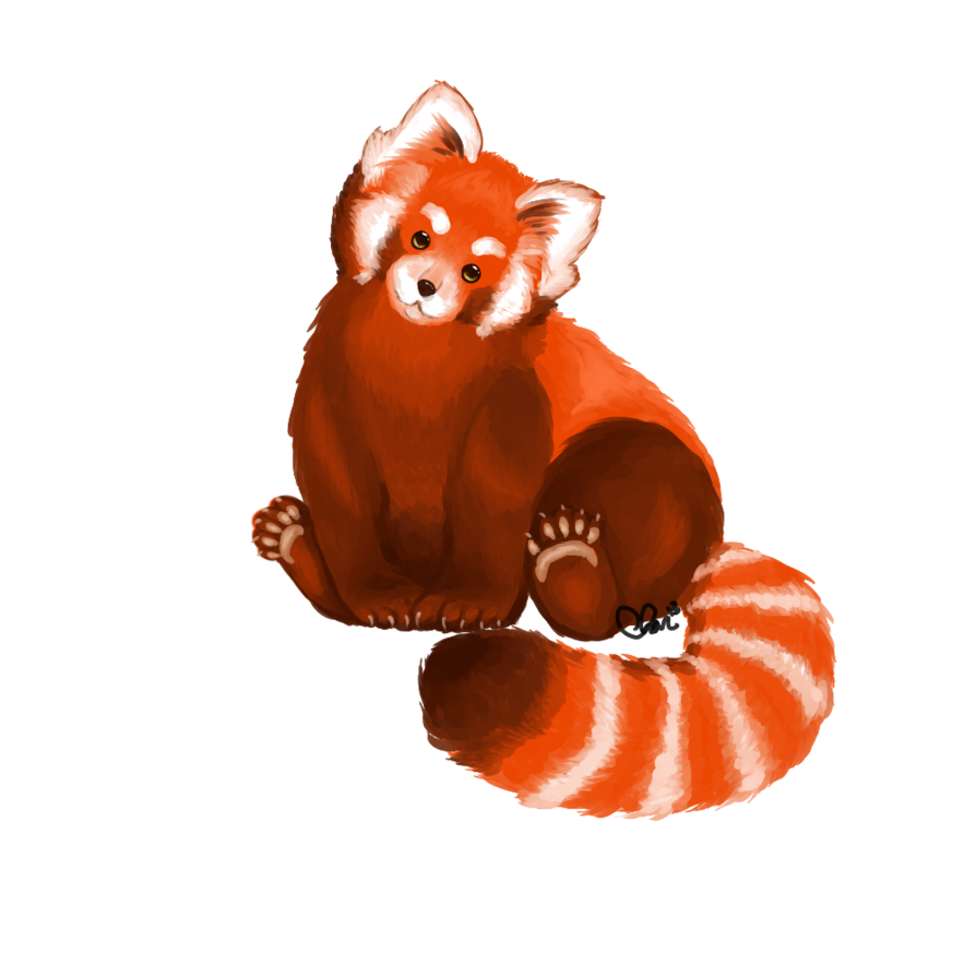 Reptile File Day Cats Red PNG