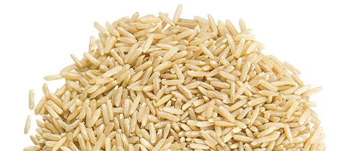 Fast Rice Corn Maize PNG