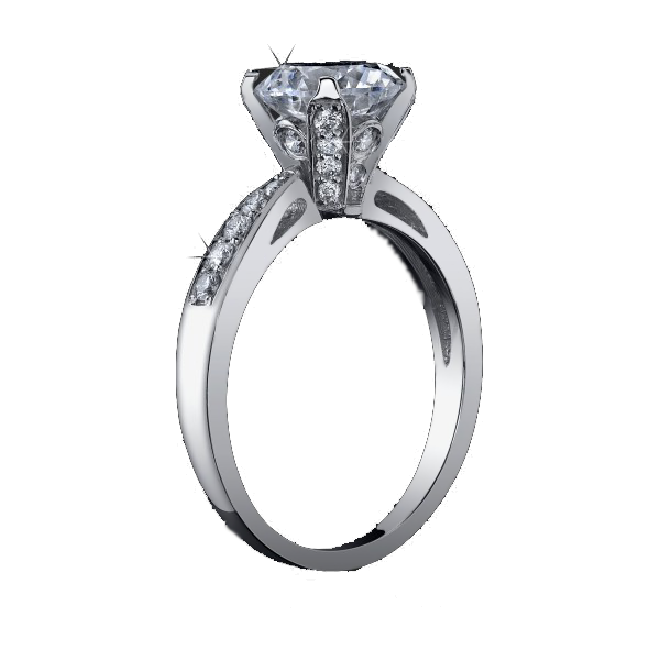 Bell Knell Ring Silver Girdle PNG