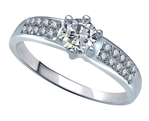 Girdle Fight Ring Band Silver PNG