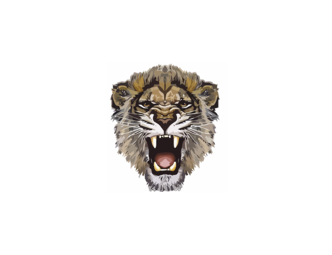 Growl Dogs Screaming Rare Lioness PNG