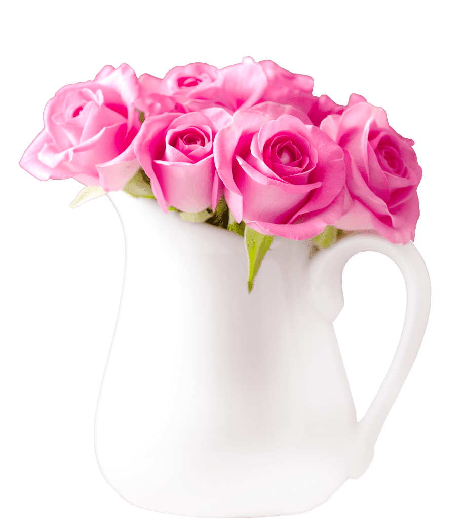 Rose Bunch Surge Pink Surges PNG