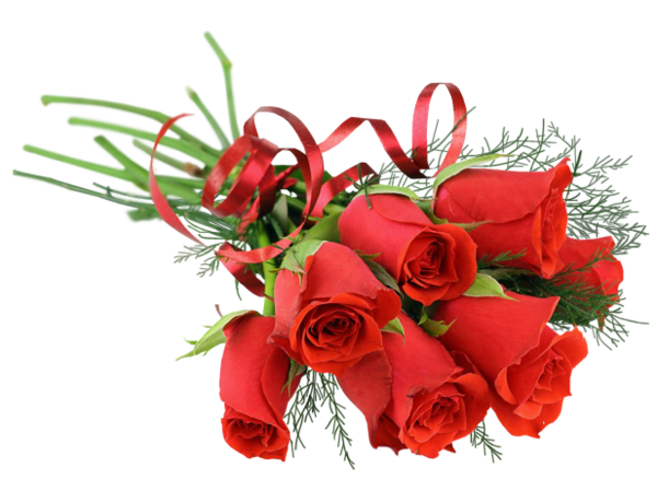 Surge High Rose Quality Flowers PNG