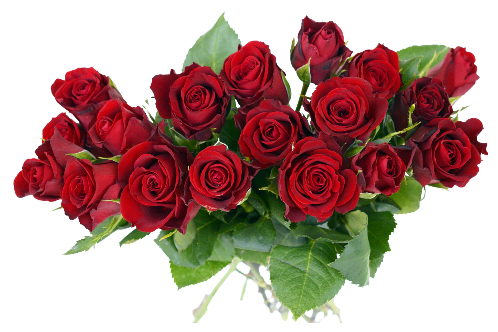 Bouquet Fresh High Colored Jump PNG