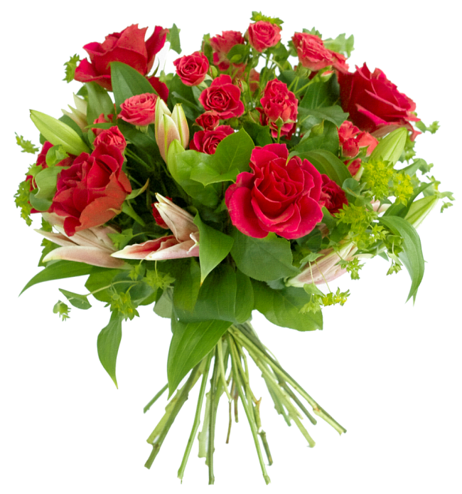 Climbs Flowers Hose Surge Valentine PNG