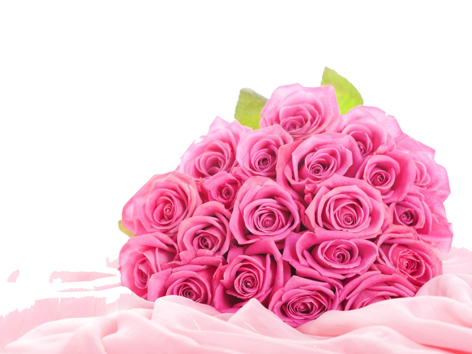 Spike Quality Valentine Hike Flowers PNG