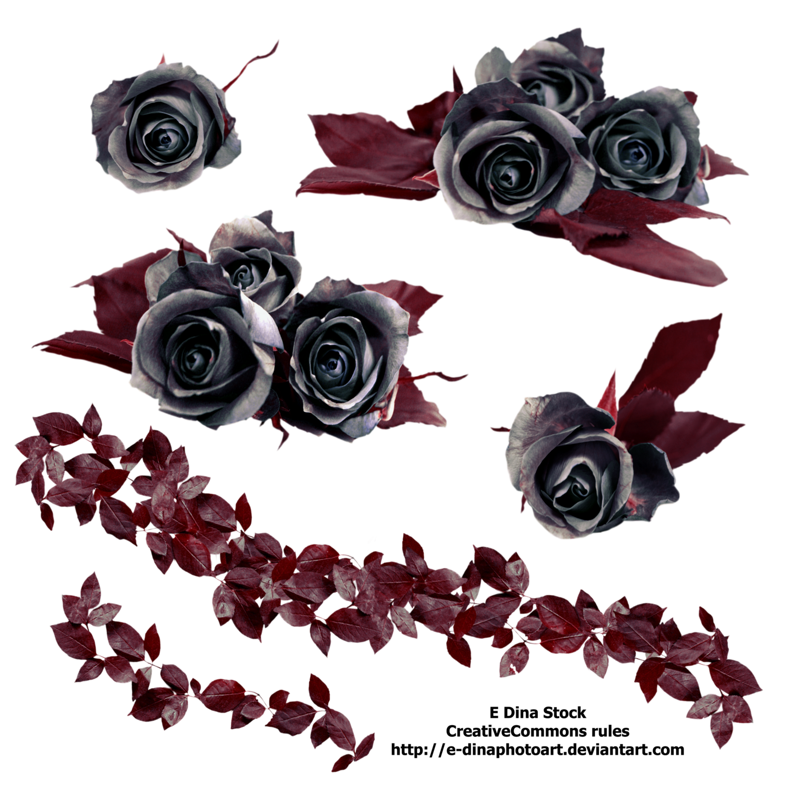 Surge Chromatic Smile Gothic Rose PNG