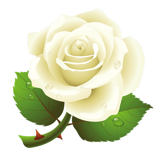 Photography Jump Animal White Rose PNG