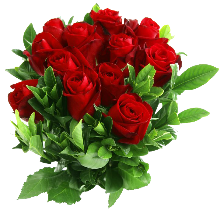 Colored Night Rose Beautiful Red PNG
