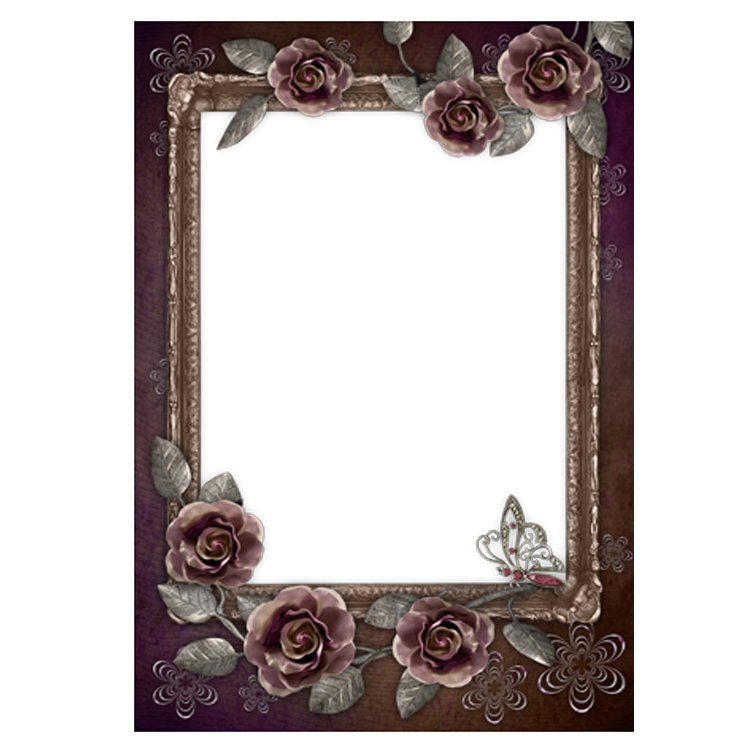 Rose Black Frame Climbs Photography PNG