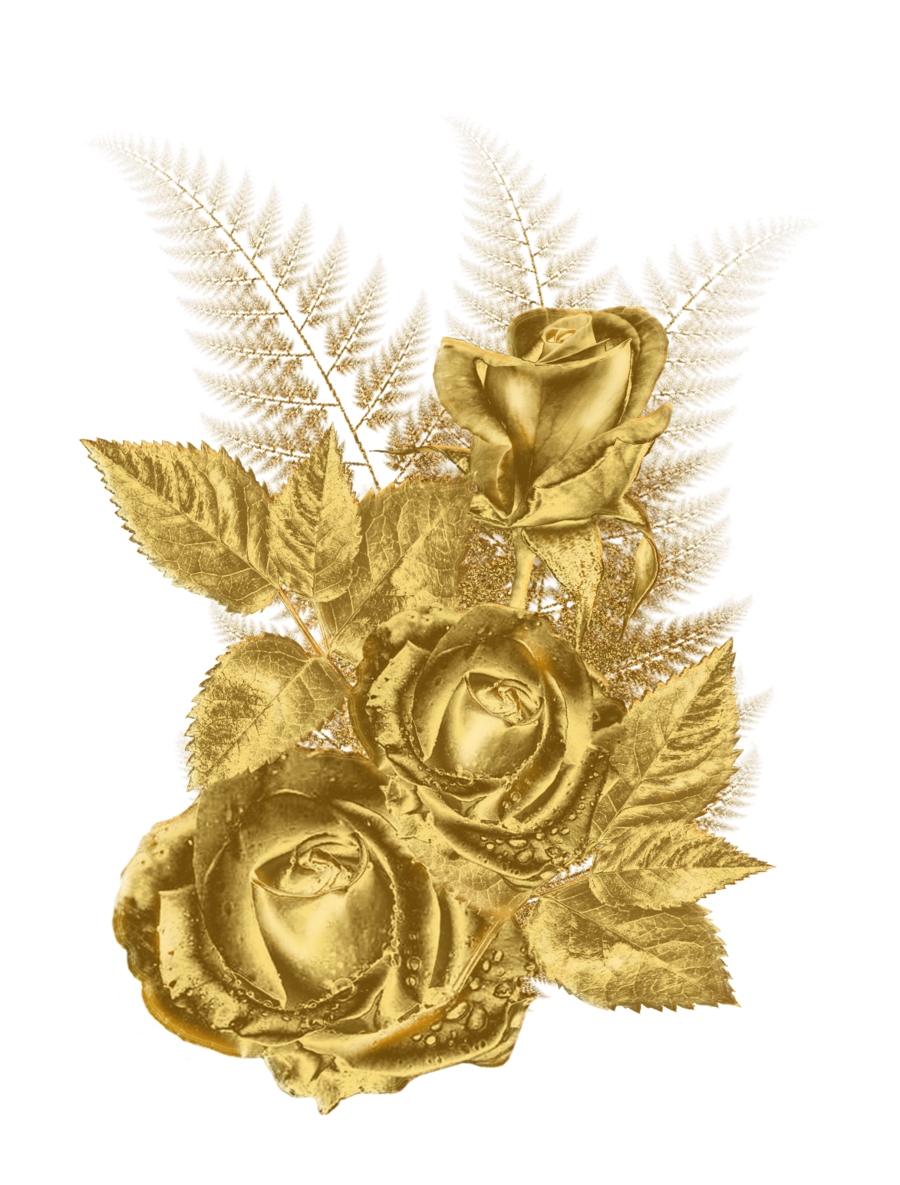 Rose High Frame Gold Flower PNG