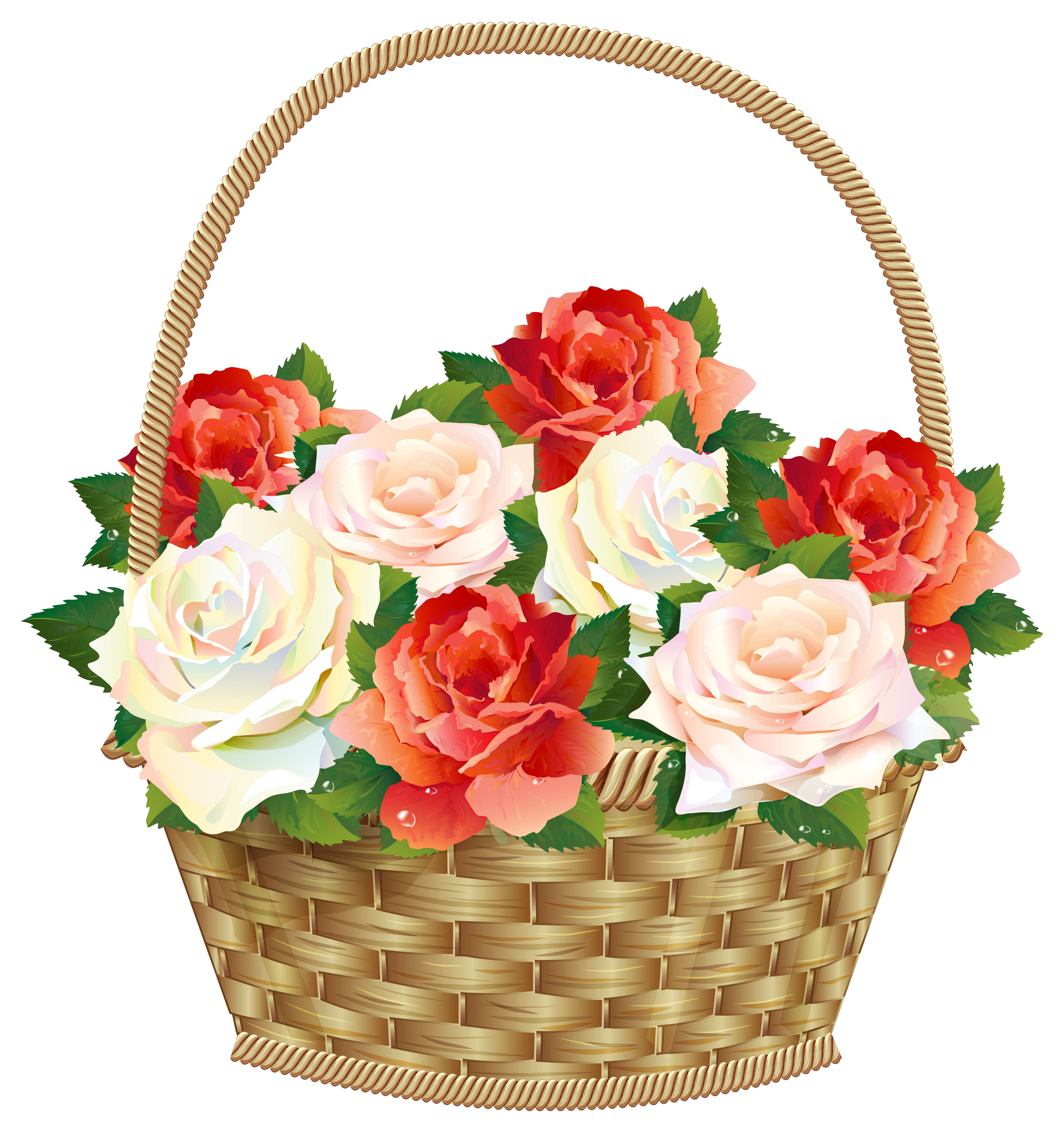 Flowerpot Hike Scarlet Basket Roses PNG