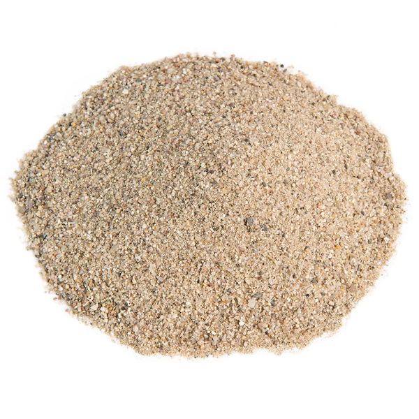 Sand Scenes Sandpaper Dirt Guts PNG