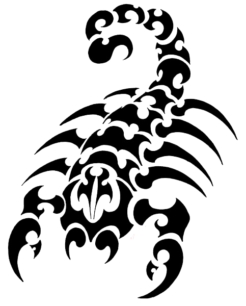 Scorpion Scars Spider Tattoos Freckles PNG