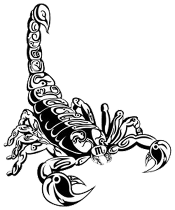 Mustachio Scorpion Arachnid Tattoos Nicknames PNG
