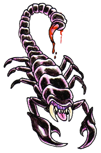 Scorpion Insect Tattoos Snake Artwork PNG