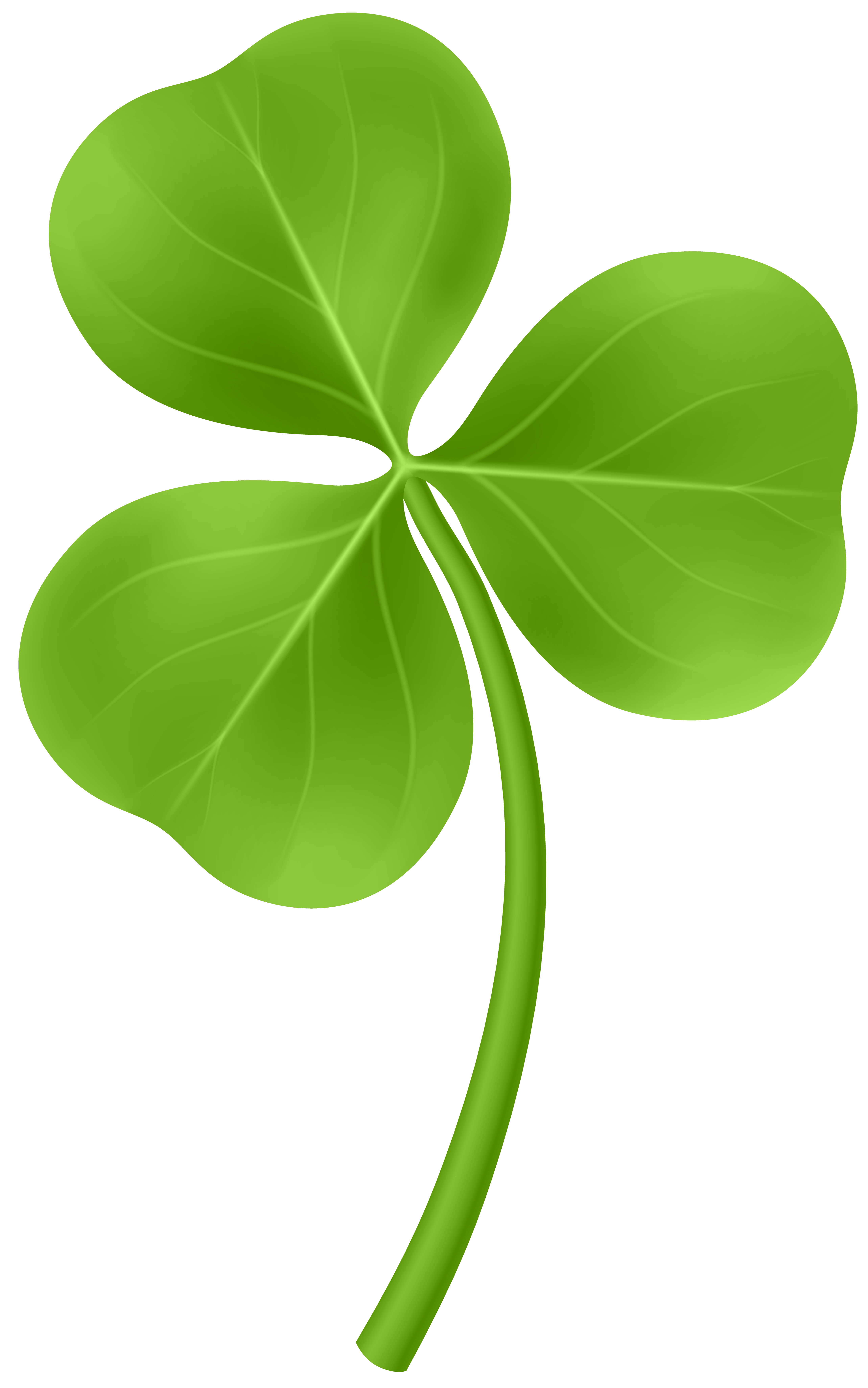 Symbol Plant Saint Shamrock Ireland PNG