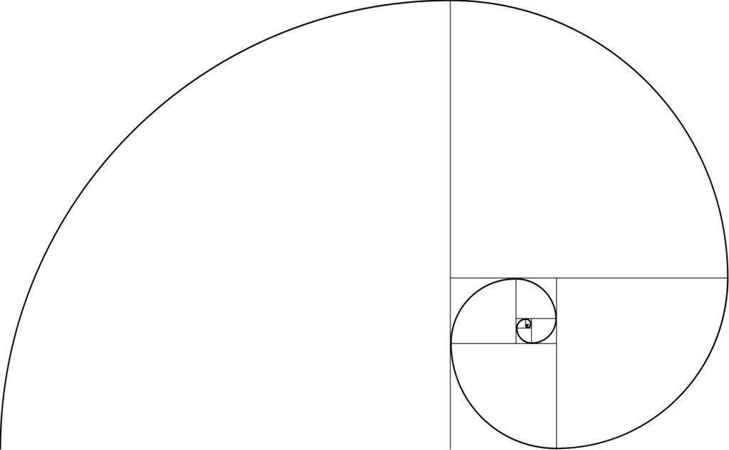 Geometry White Fibonacci Golden Morphology PNG
