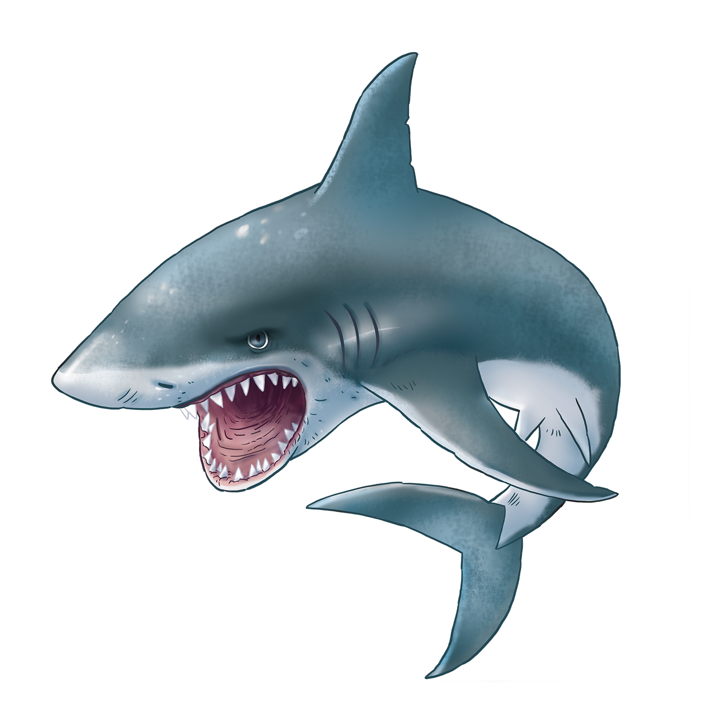 Megalodon Swordfish Blue Fish Predator PNG