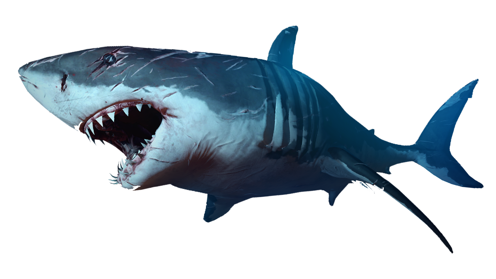 Blue Hippo Shark Alligator Falcon PNG