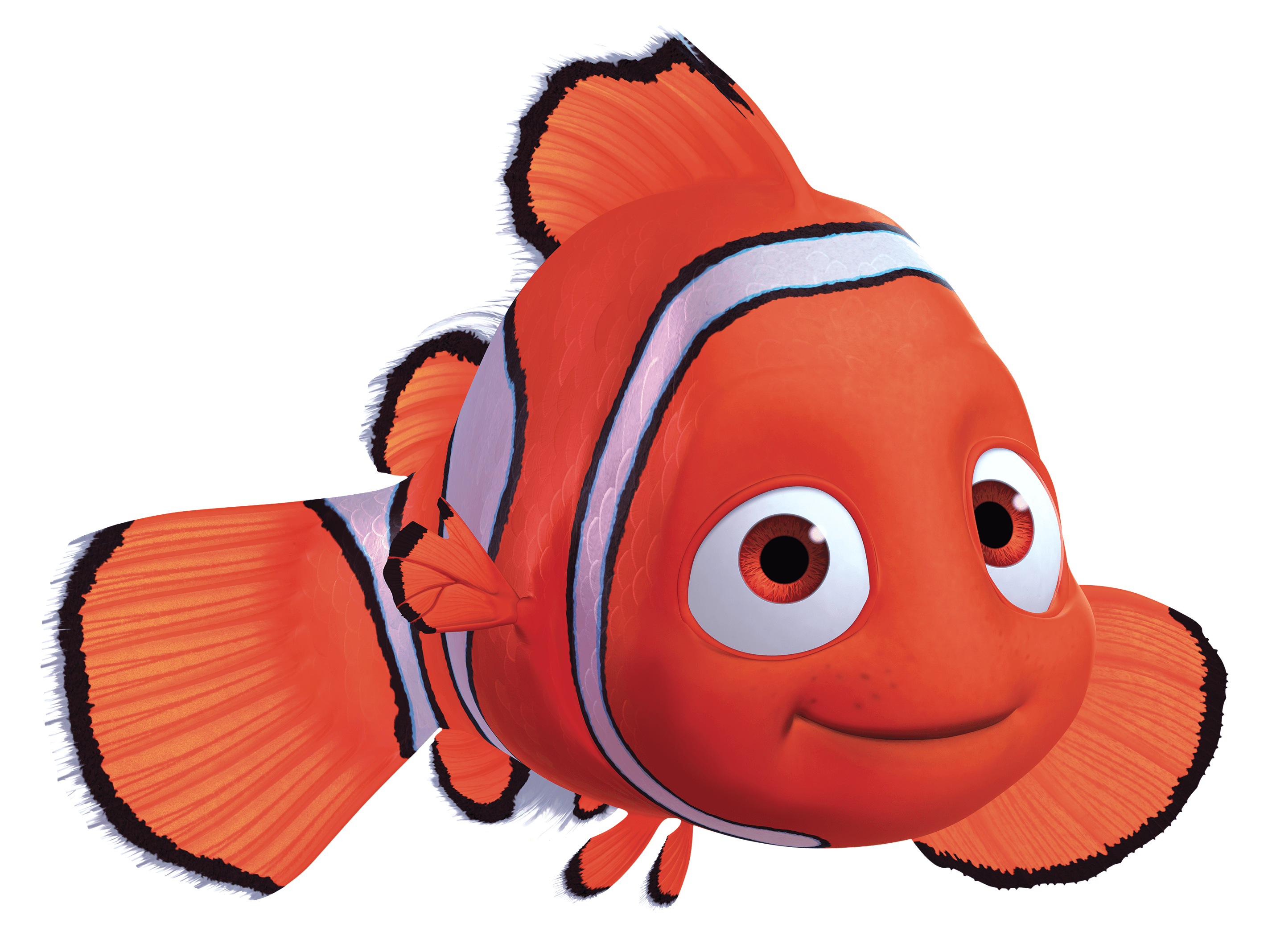 Nemo Shark Marlin Usurer Animals PNG