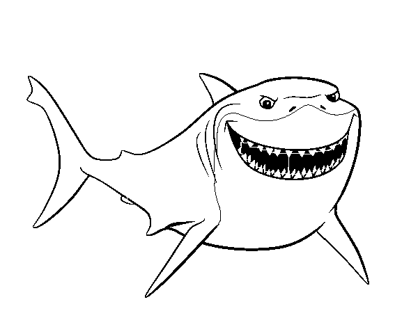 Porpoise Nemo Humpback Animals Whale PNG