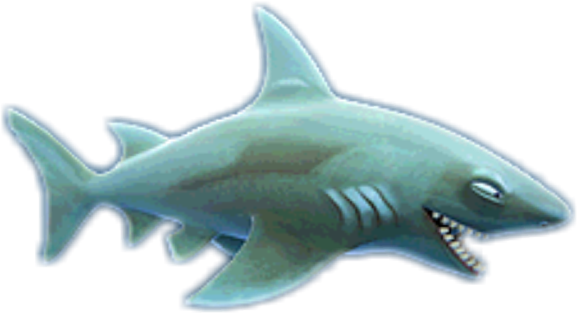 Piranha Hammerheads Usurer Manatee Dogfish PNG